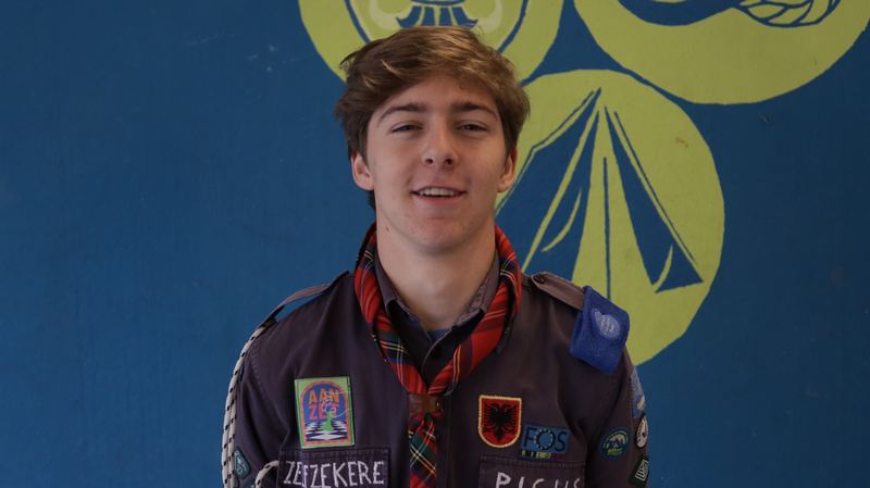 Zelfzekere Picus